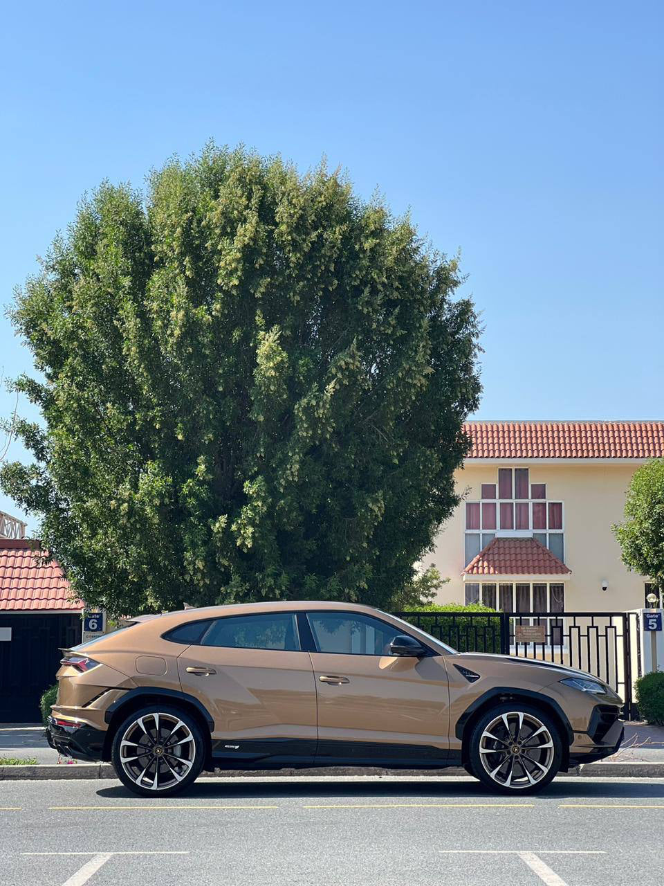 LAMBORGHINI URUS BROWN S