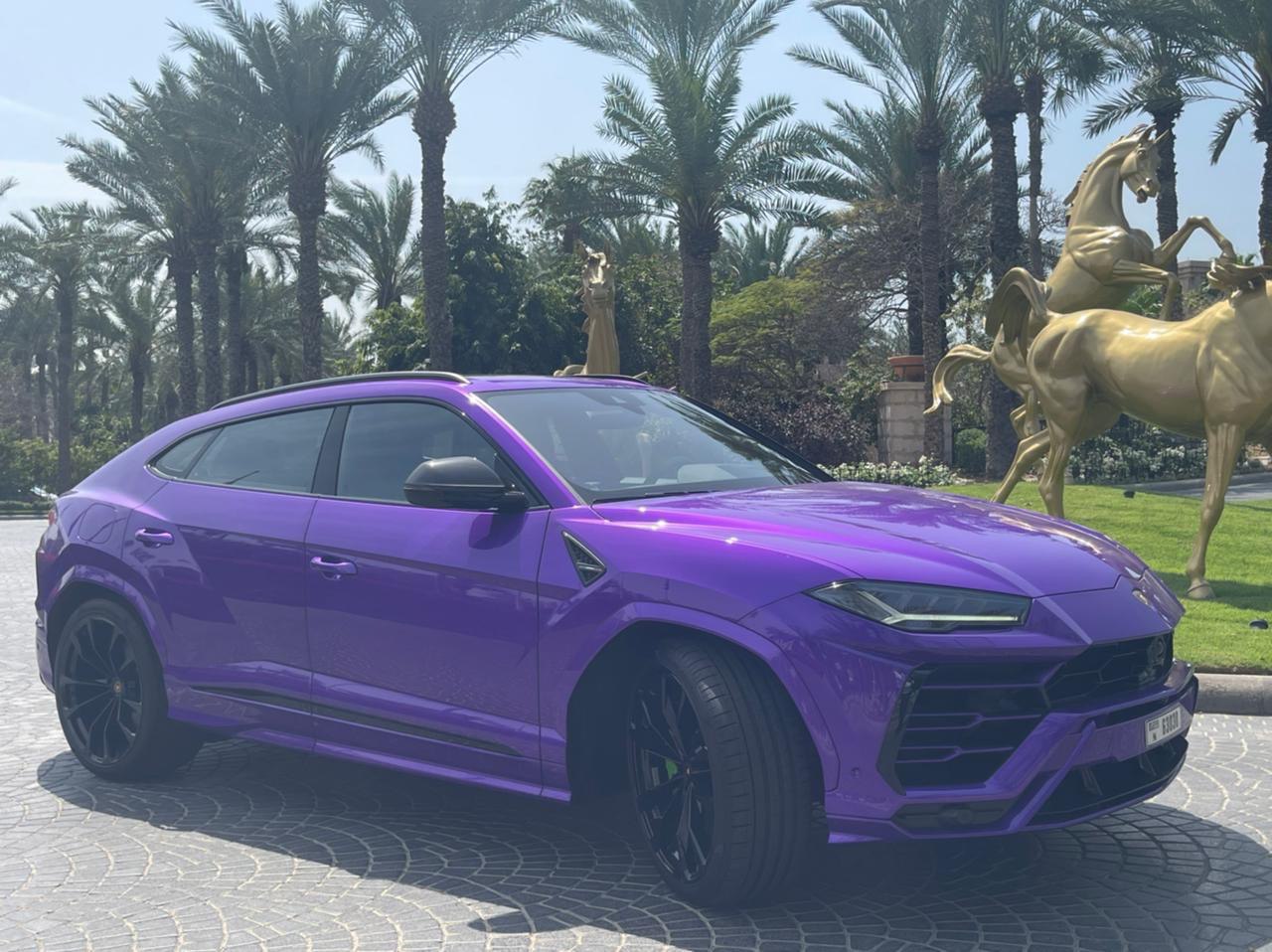LAMBORGHINI URUS PURPLE