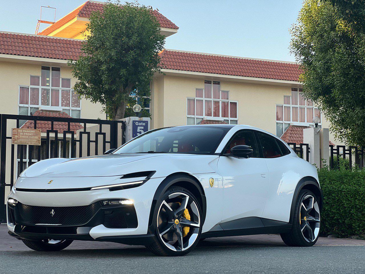 FERRARI PUROSANGUE WHITE