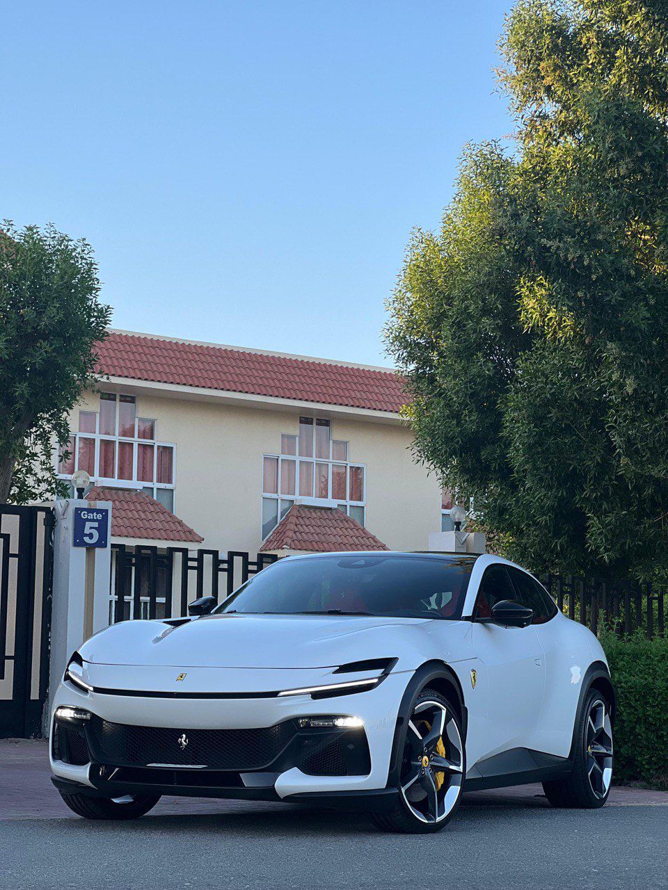 FERRARI PUROSANGUE WHITE
