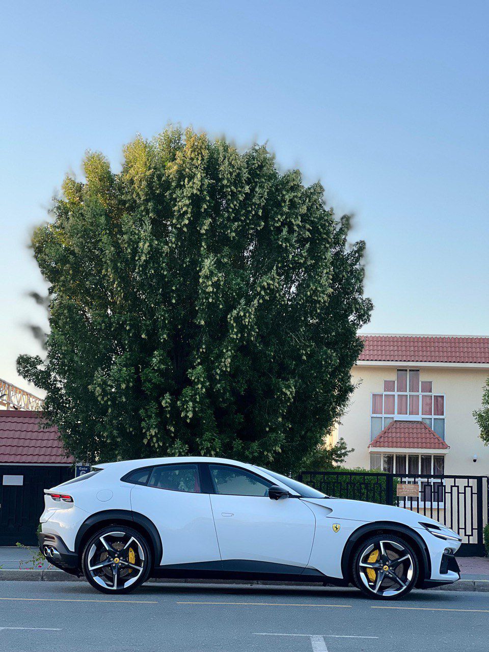 FERRARI PUROSANGUE WHITE