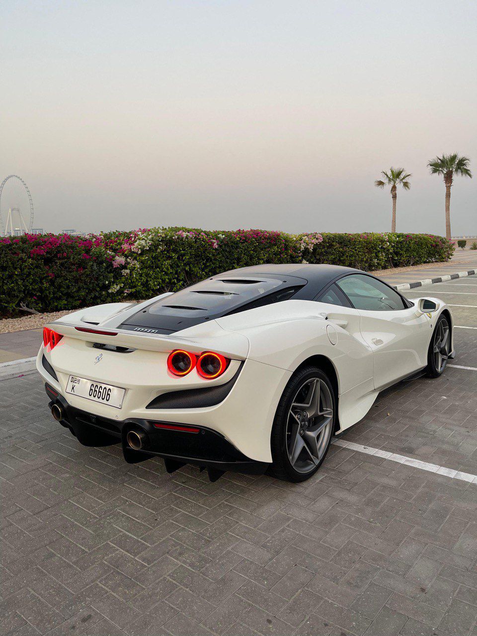 FERRARI F8 TRIBUTO WHITE